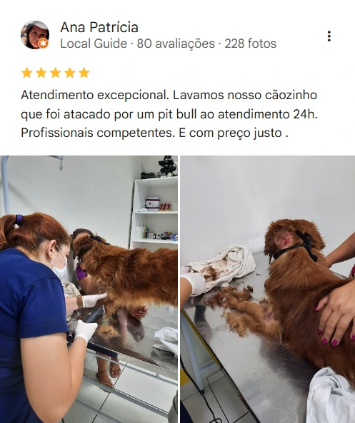 Avaliação 5 estrelas