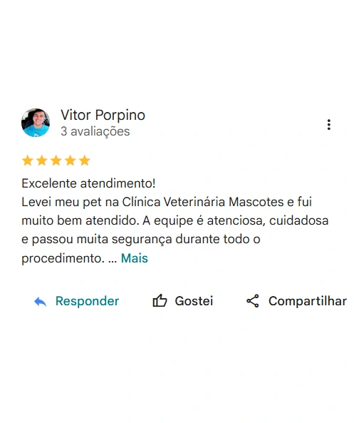 Avaliação 5 estrelas